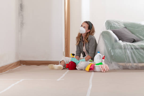 Reliable Mold Inspection And Testing contractor in Damascus, OR by Car Mold Remediation